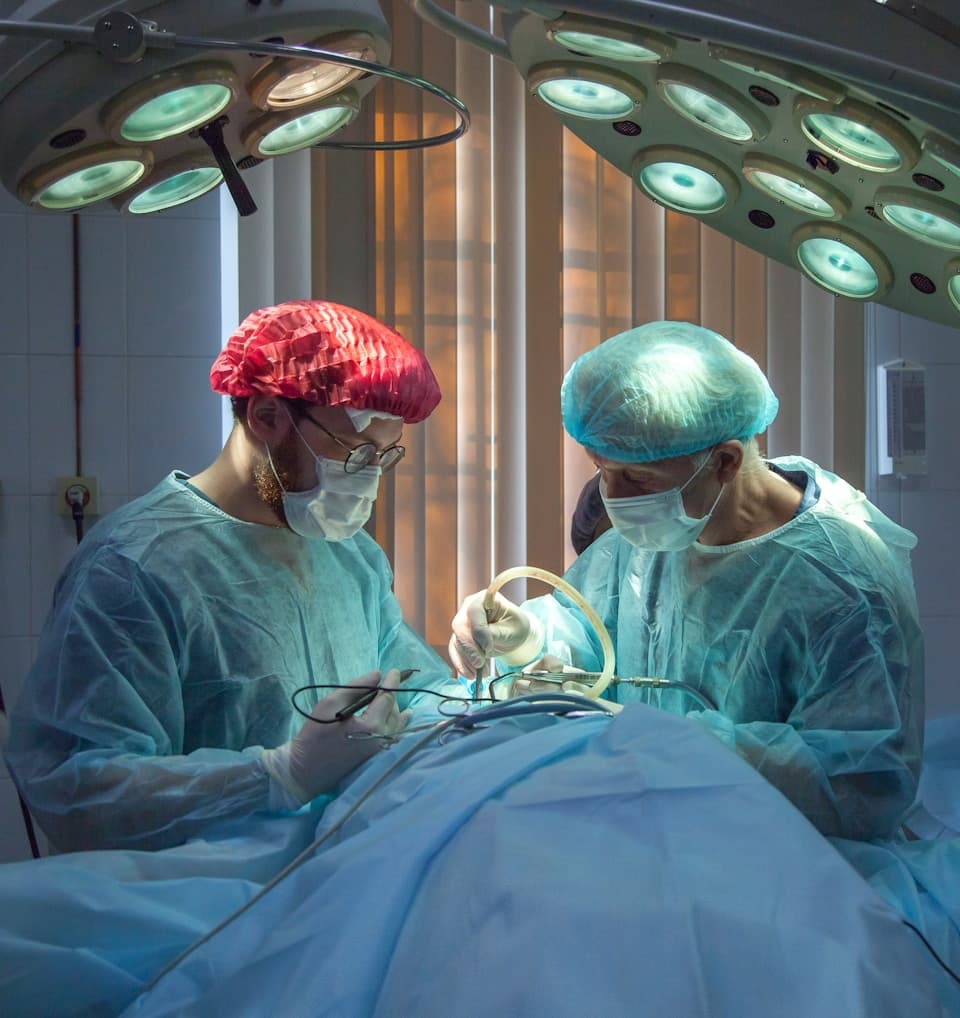 Cardiology team reviewing heart-health diagnostics
